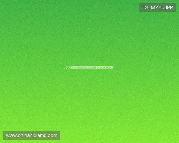 365买球世界杯下注平台推荐与投注策略分析助你轻松掌握赛事动态