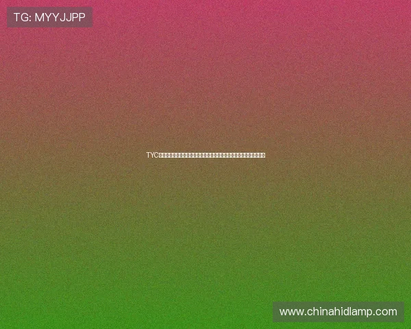 TYC列出欧美杯备选场地包括迈阿密硬石体育场和伯纳乌温布利等知名场馆 TYC列出欧美杯备选场地包括迈阿密硬石体育场和伯纳乌温布利等知名场馆